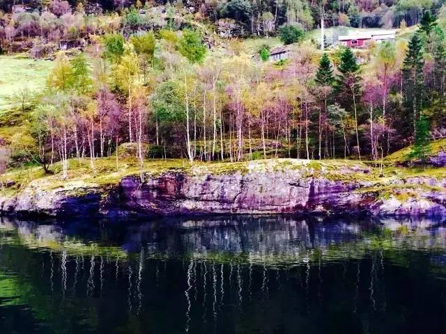 34.webp.jpg 世界杯投注